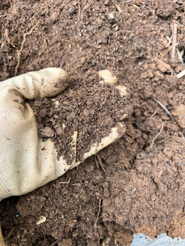 The Dirt on Healthy Soil