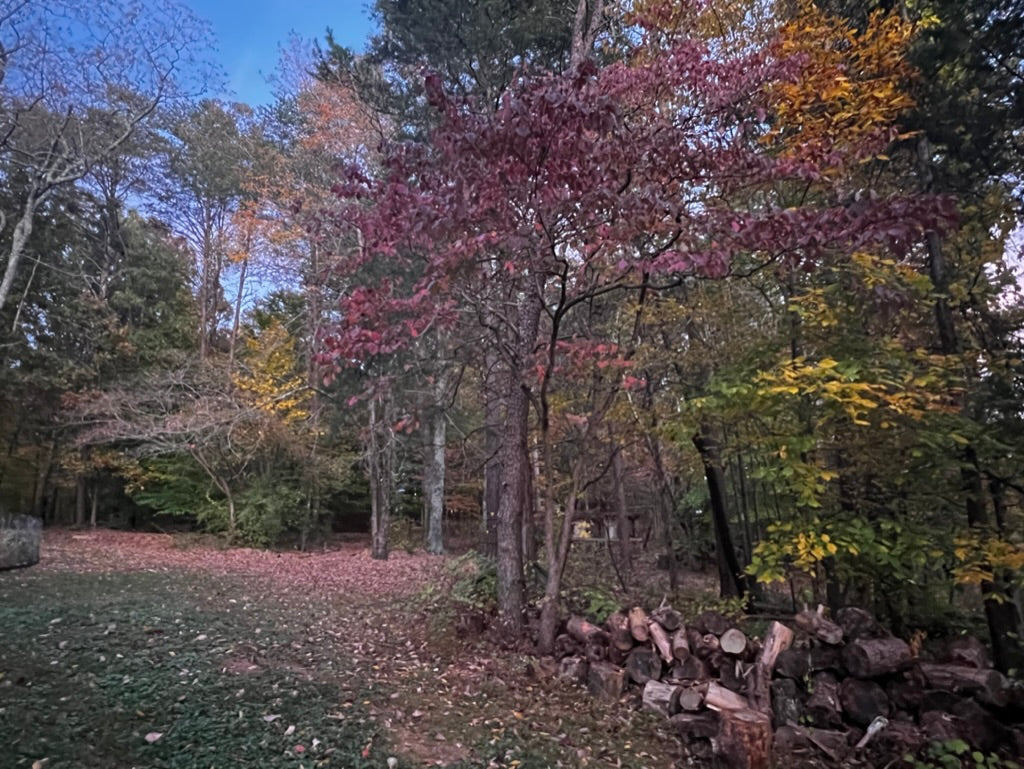 Leaves Are Not Garbage