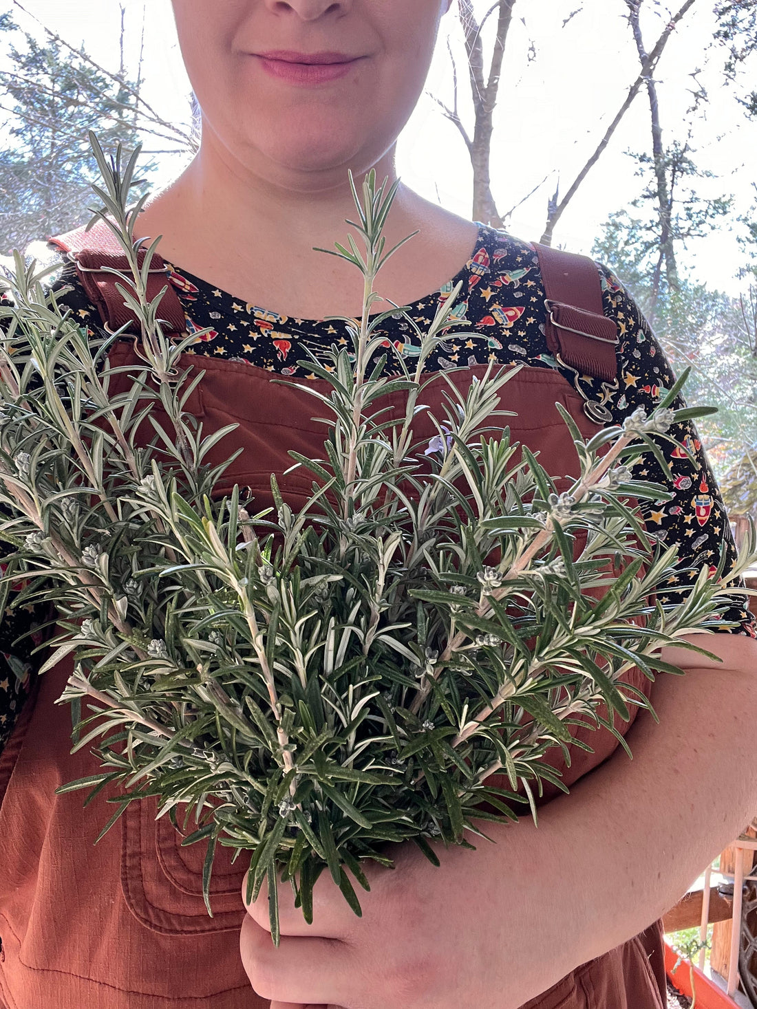 The Season of Harvest