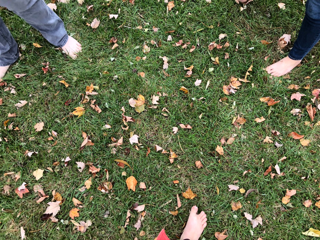 The Magical World Beneath Your Feet